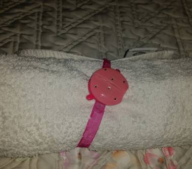 Affitto Appartamento Vacanze a Santa Croce sull'Arno (Pisa)