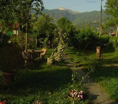 Offerta Vacanze Bed & Breakfast a Massa, Frazione Marina Di Massa