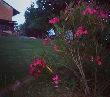 Rustico/Casale in vendita a Lauriano, Frazione Piazzo