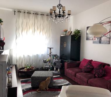 Appartamento in vendita a Piombino (Livorno)