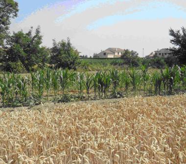 Villa in vendita a Adria (Rovigo)