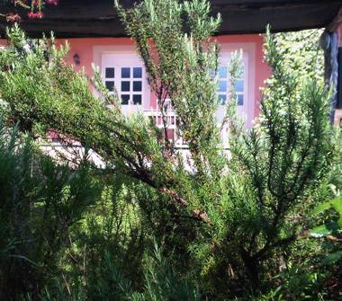 Villa in vendita a Montalto di Castro, Frazione Pescia Romana