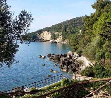 Affitto Baita/Chalet/Trullo Vacanze a Torre Orsaia (Salerno)