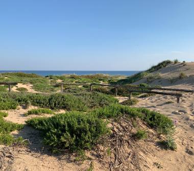 Affitto Villa Vacanze a Maruggio (Taranto)