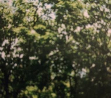 Casa indipendente in vendita a Casalvieri (Frosinone)