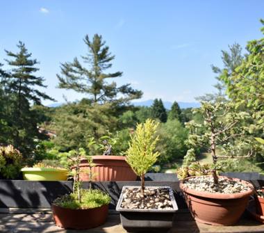 Bilocale in vendita a Guanzate (Como)