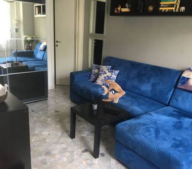 Monolocale in affitto a Milano, Zona Città Studi