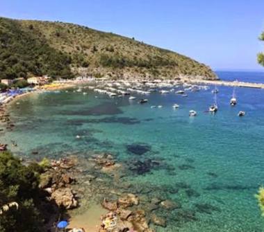 Affitto Appartamento Vacanze a Centola, Frazione Palinuro