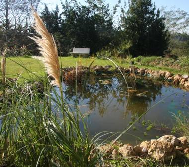 Villa in vendita a Casciana Terme Lari (Pisa)