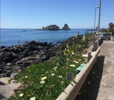 Affitto Appartamento Vacanze a Aci Castello, Frazione Acitrezza