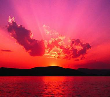 Affitto Casa Vacanze a Forio (Napoli)