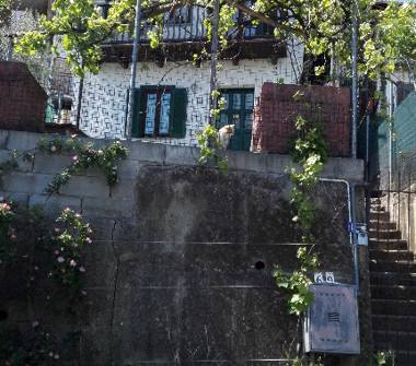 Casa indipendente in vendita a Pettinengo (Biella)