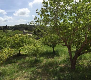 Villa in vendita a Sassari (Sassari)