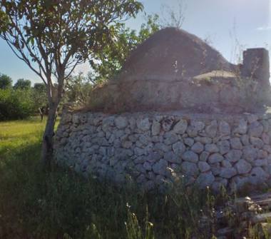 Terreno Agricolo/Coltura in vendita a San Vito dei Normanni (Brindisi)