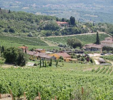 Rustico/Casale in vendita a Pontassieve (Firenze)