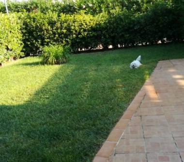 Casa indipendente in vendita a Cassano all'Ionio, Frazione Sibari