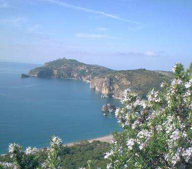 Affitto Appartamento Vacanze a Centola, Frazione Palinuro, Località Trivento 3