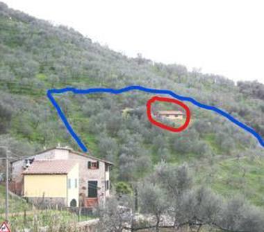 Rustico/Casale in vendita a Lucca, Zona Piazzano