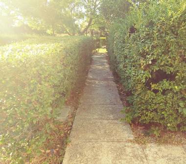 Offerta Vacanze Residence a Isola di Capo Rizzuto, Frazione Le Castella