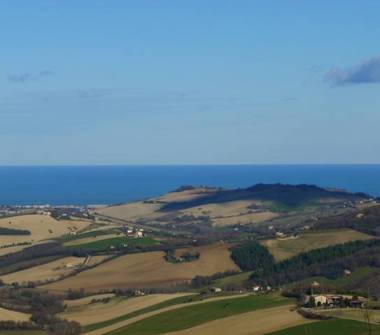 Appartamento in affitto a Monterubbiano (Fermo)
