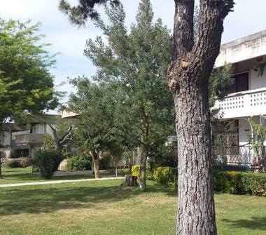 Trilocale in affitto a Ardea, Frazione Nuova California