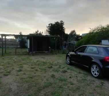 Terreno Agricolo/Coltura in affitto a Roma, Zona Ostia