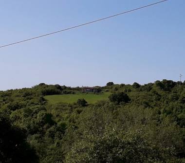 Terreno Edificabile Residenziale in vendita a Castell'Azzara (Grosseto)