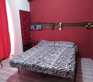 Affitto Appartamento Vacanze a Asti (Asti)