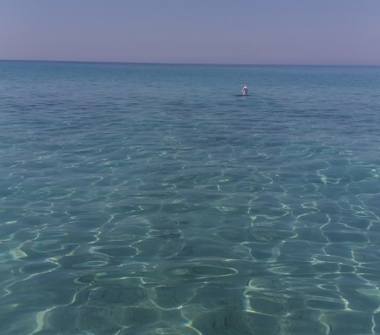 Affitto Casa Vacanze a Taurisano (Lecce)