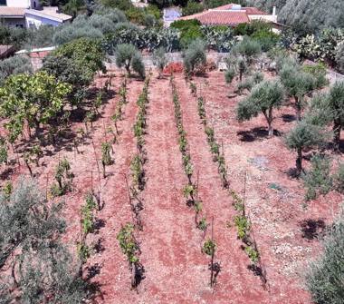 Villa in vendita a Noto, Frazione Lido Di Noto