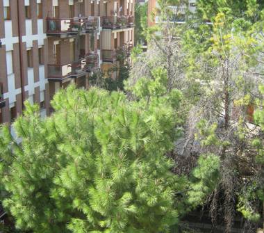 Appartamento in vendita a San Severo (Foggia)