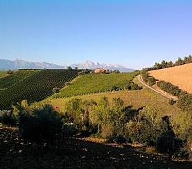 Albergo/Struttura ricettiva in vendita a Notaresco, Frazione Casarino