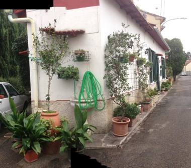 Casa indipendente in vendita a Campi Bisenzio, Frazione San Piero A Ponti