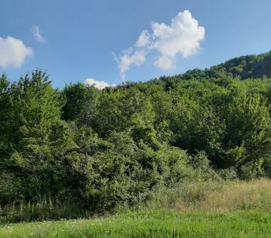 Terreno Agricolo/Coltura in vendita a Poggio San Vicino (Macerata), Località Cordivino 6