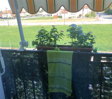 Appartamento in vendita a Borgoricco (Padova)