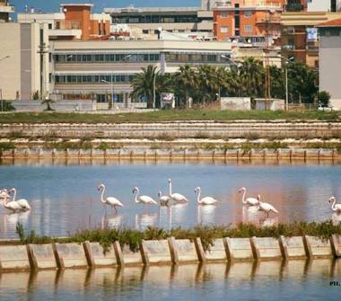 Quadrilocale in affitto a Margherita di Savoia (Barletta-Andria-Trani), Corso Luigi Vanvitelli 1