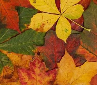 Bilocale in affitto a L'Aquila (L'Aquila), Viale Aldo Moro 1