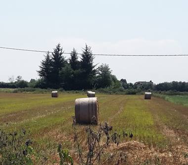 Terreno Agricolo/Coltura in vendita a Legnano (Milano), Strada Valignana 1