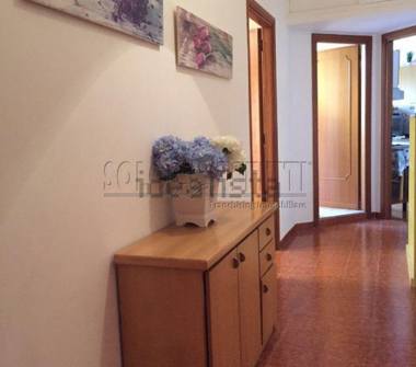 Affitto Stanza Singola a Roma, Zona Alberone