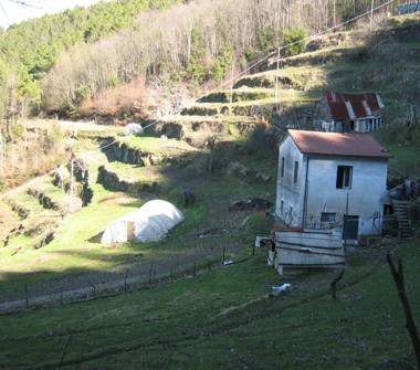 Showroom in vendita a Vernazza (La Spezia)