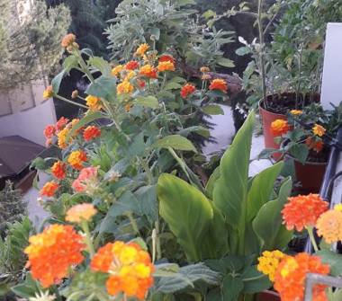 Affitto Stanza Singola a Roma, Zona Re di Roma, Piazza Giovanni da Verrazzano 42