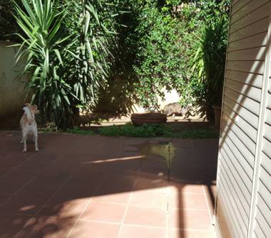 Trilocale in vendita a Roma, Zona Romanina