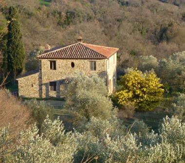 Rustico/Casale in vendita a Scansano (Grosseto)