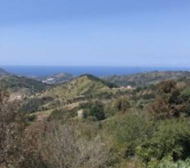 Terreno Agricolo/Coltura in vendita a Prignano Cilento (Salerno)