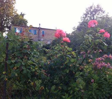 Rustico/Casale in vendita a Scansano, Frazione Murci