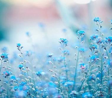 Villa in vendita a Ladispoli (Roma)