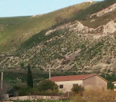 Terreno Agricolo/Coltura in vendita a Contessa Entellina (Palermo)
