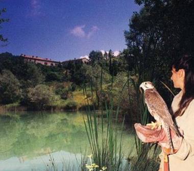 Altro in vendita a Gubbio, Frazione Villa