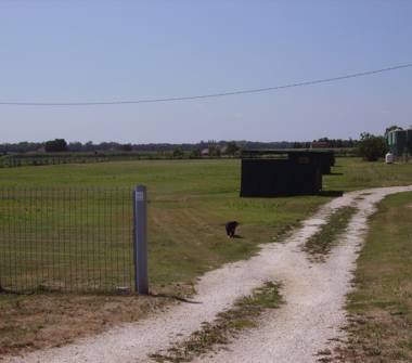 Terreno Agricolo/Coltura in vendita a Mesola, Frazione Bosco Mesola, Via Cristina 74