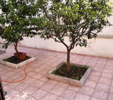 Appartamento in vendita a Surbo (Lecce), Via Francesco Petrarca 19